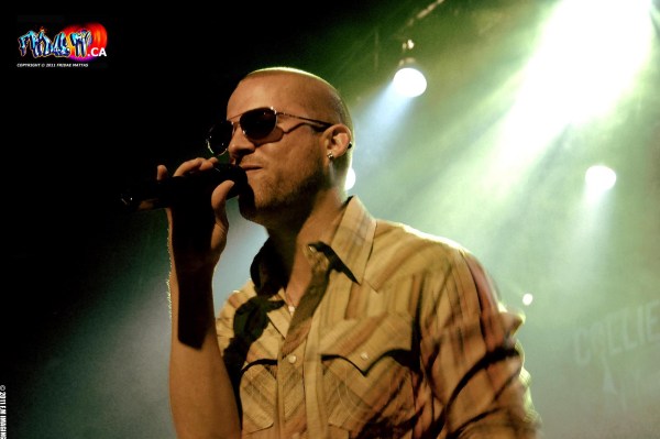 COLLIE BUDDZ