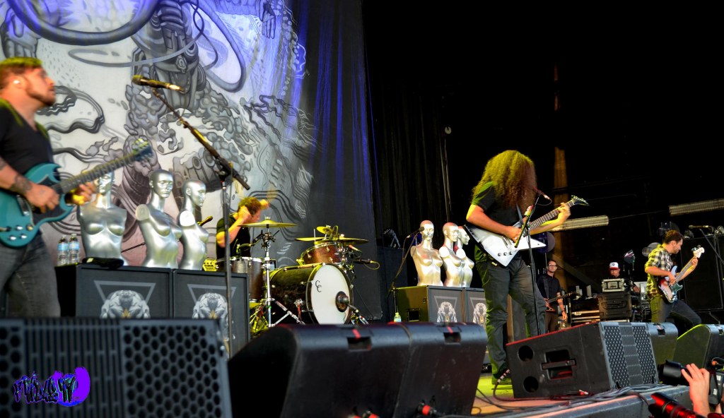 All Photography By: Fridae Mattas