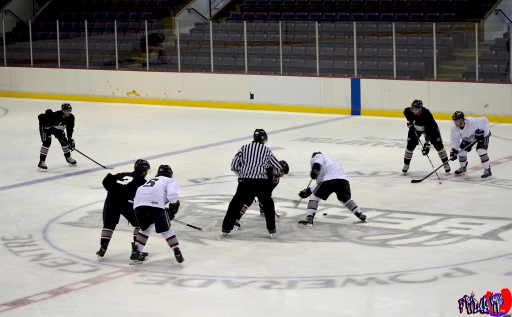 BRAMPTON BEAST HOCKEY TEAM