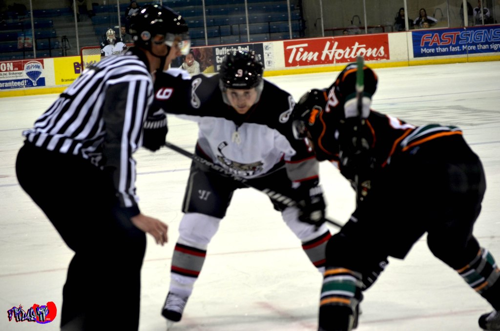 BRAMPTON BEAST VS QUAD CITY MALLARDS - MONDAY DECEMBER 30TH 2013