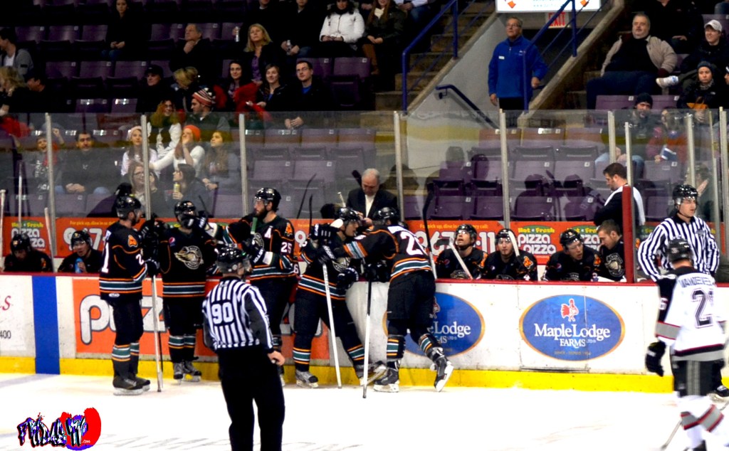 QUAD CITY MALLARDS - MONDAY DECEMBER 30TH 2013 POWERADE CENTER