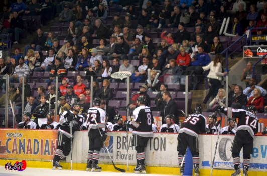 BRAMPTON BEAST - POWERADE CENTRE MARCH 30TH 2014