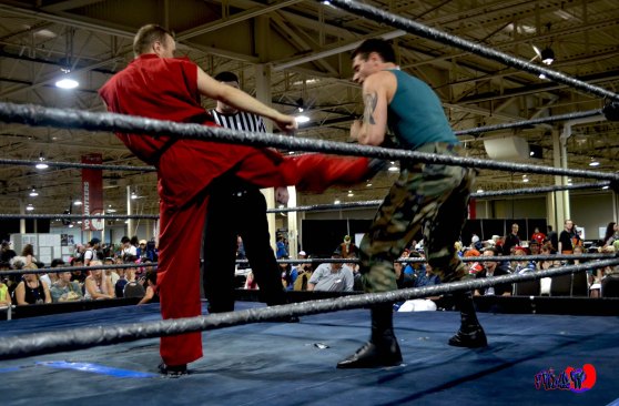 ANIME NORTH 2014 PHOTO BY: FRIDAE MATTAS